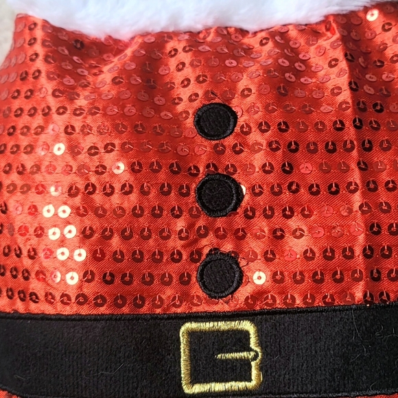 Santa Costume for Small Dogs - Picture 5 of 8